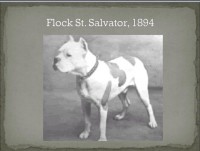 /album/%cf%80%ce%b7%ce%b3%ce%ae-%3a-boxernews-forumcommunity-net/%ce%b1%ce%bd%cf%84%ce%af%ce%b3%cf%81%ce%b1%cf%86%ce%bf-%ce%b1%cf%80%cf%8c-10710897-731607640227882-1492629204171484402-n-jpg1/